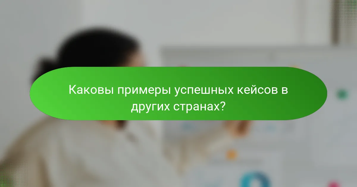 Каковы примеры успешных кейсов в других странах?
